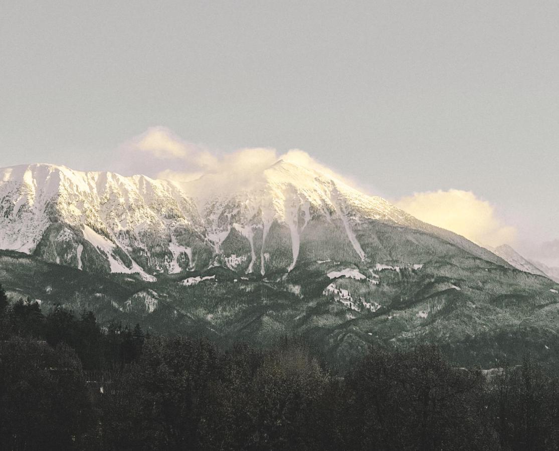 Home In Bled Luaran gambar